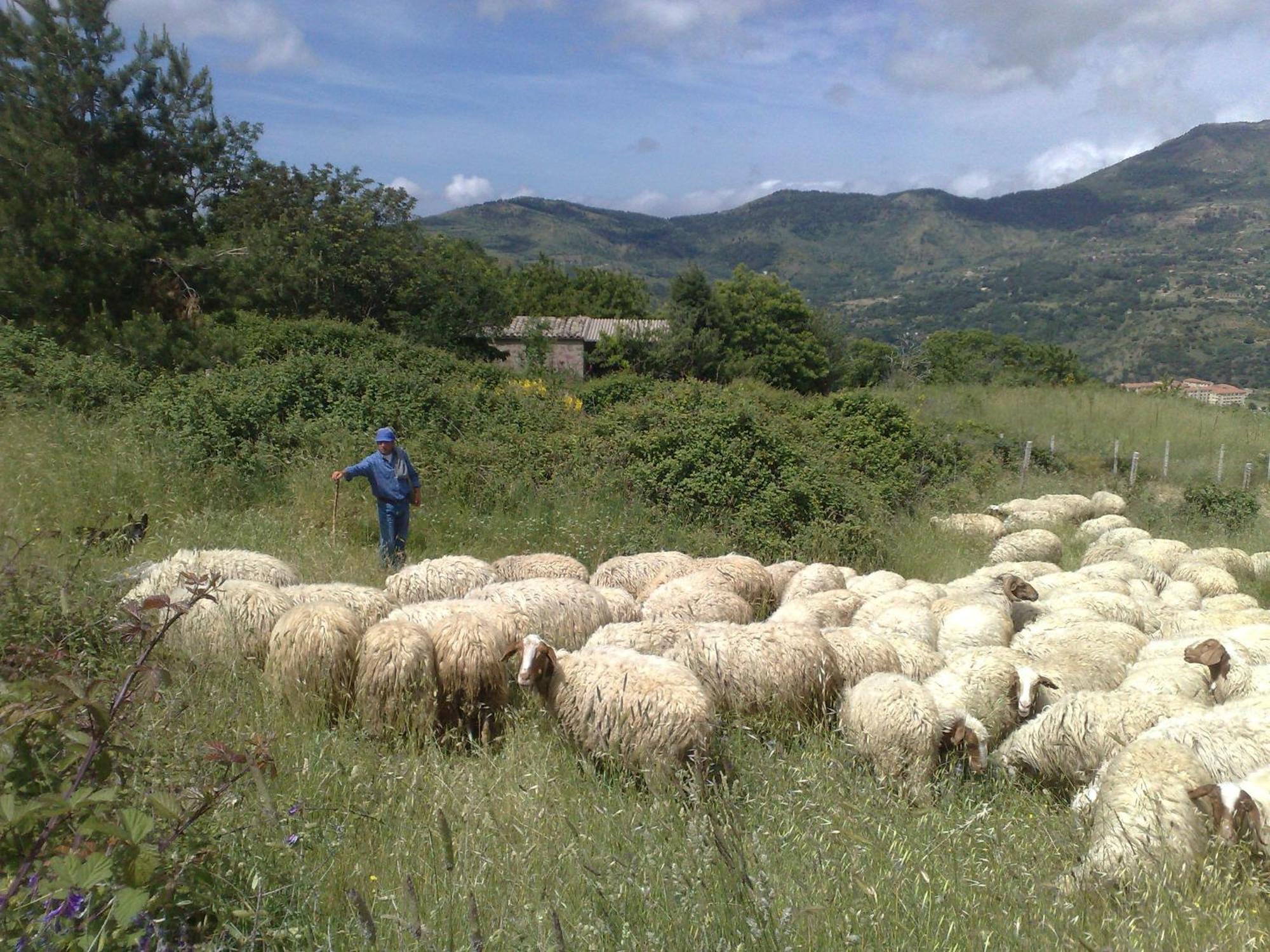 Séjour à la campagne La Di Cadi Petralia Soprana